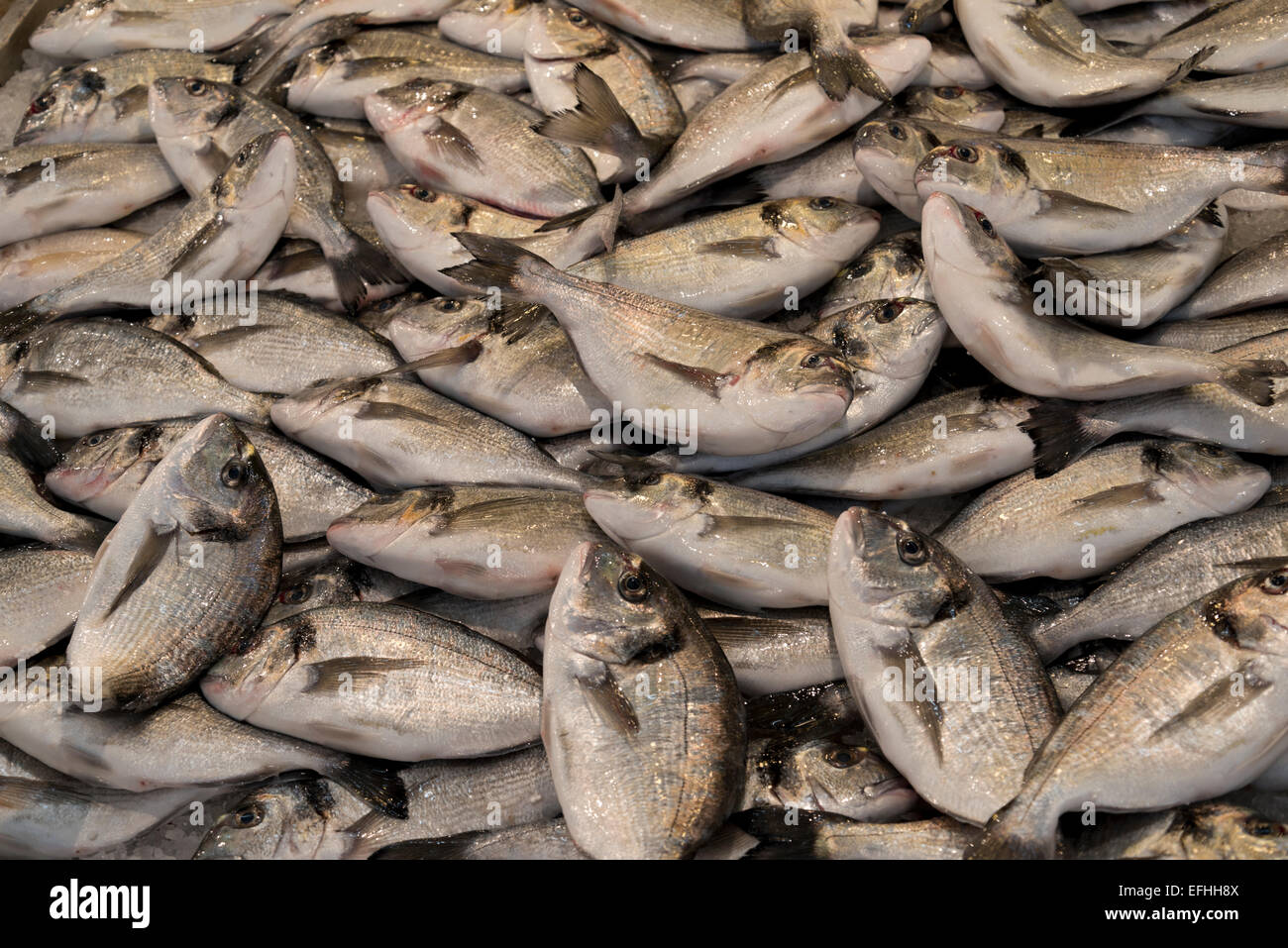 Fresh fish for sale at a Mediterranean market stall Stock Photo