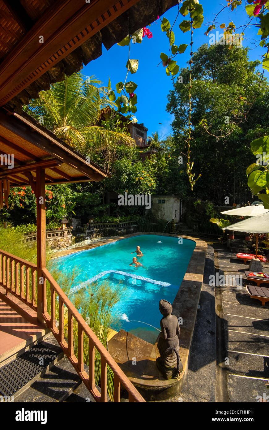 view at garden and swimming pool of guesthouse Ketut's place at Ubud Bali Indonesia Stock Photo