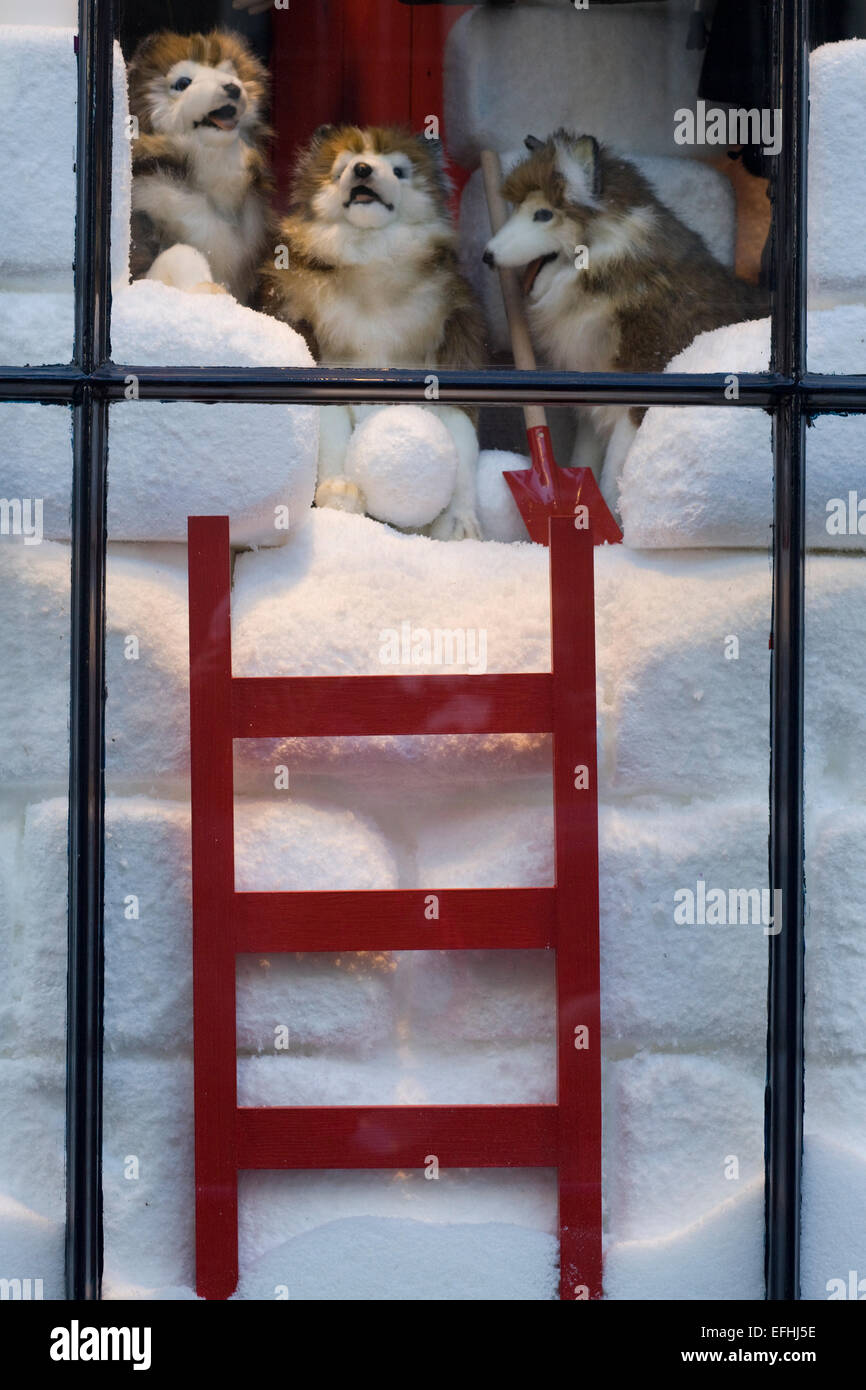 Shop window Display for Snow and Soft toys Stock Photo