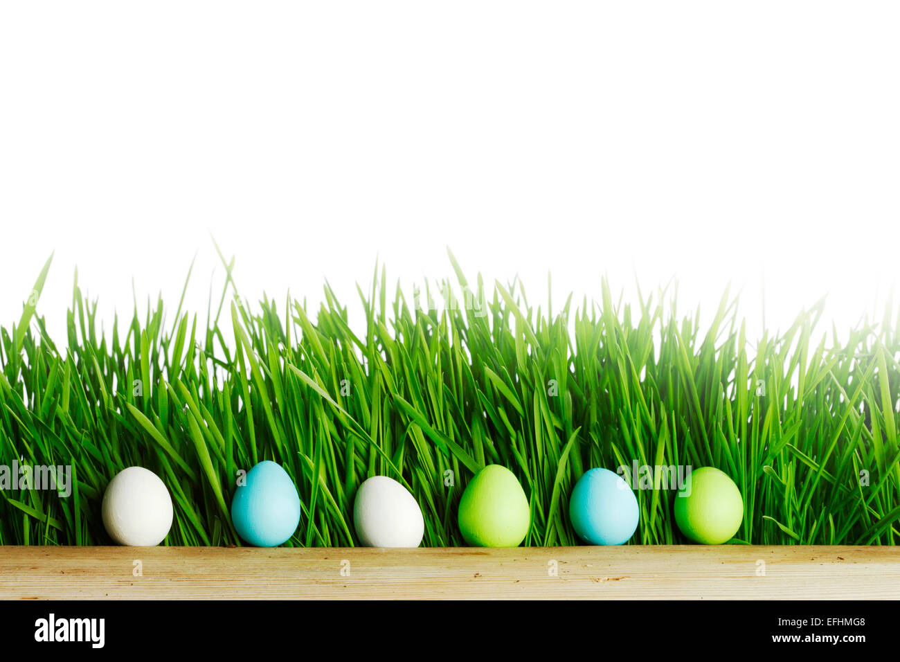 Row of Easter Eggs in fresh green grass isolated on white background ...