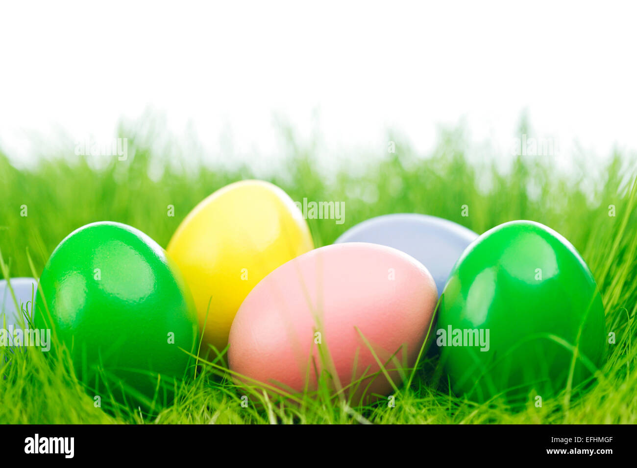 Colorful easter eggs in fresh spring green grass Stock Photo - Alamy
