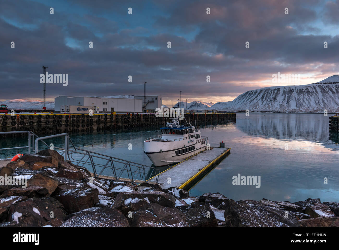 Sunrise at Grundarfjorour ,depicting a white tour boat and harbour view ...