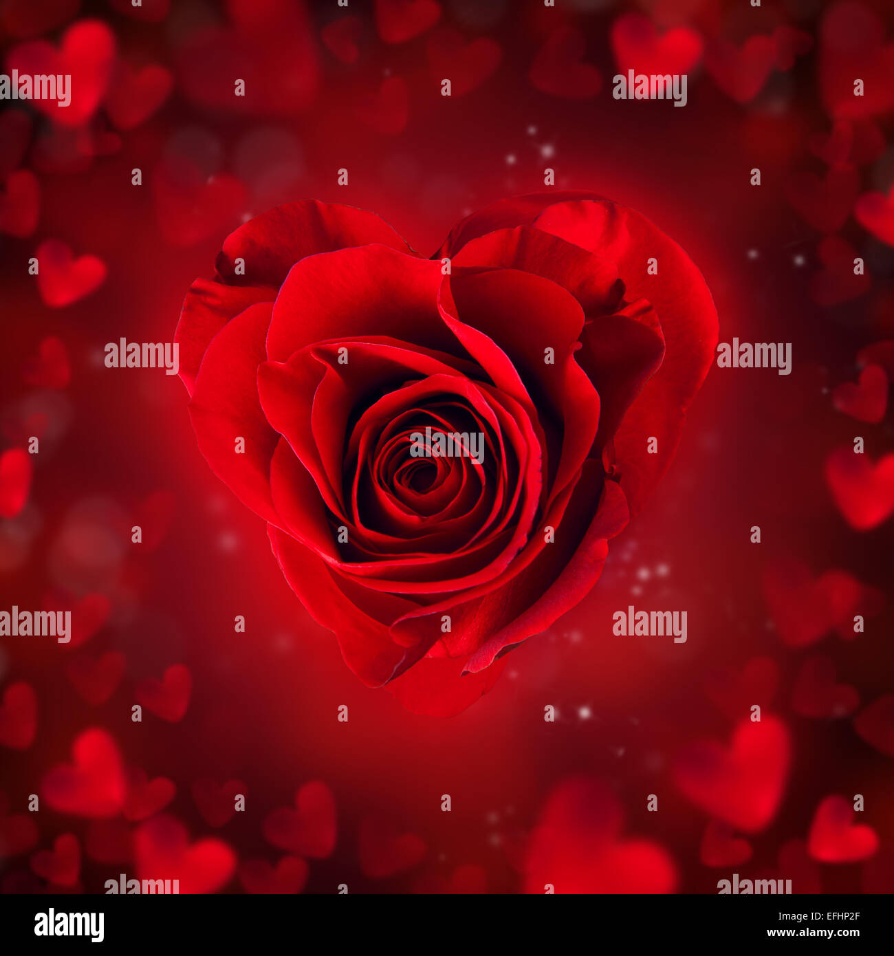 Red rose blossom in heart shape with abstract blur background Stock Photo