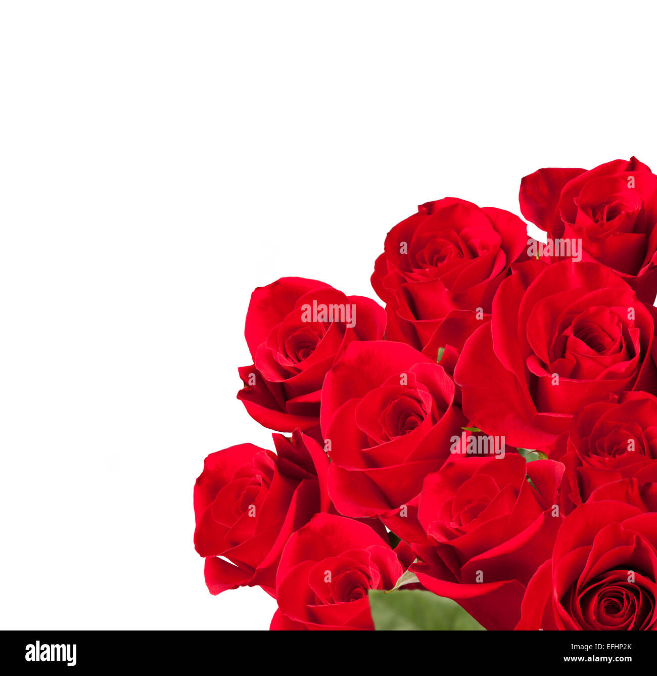 Isolated bouquet of roses on white background Stock Photo - Alamy