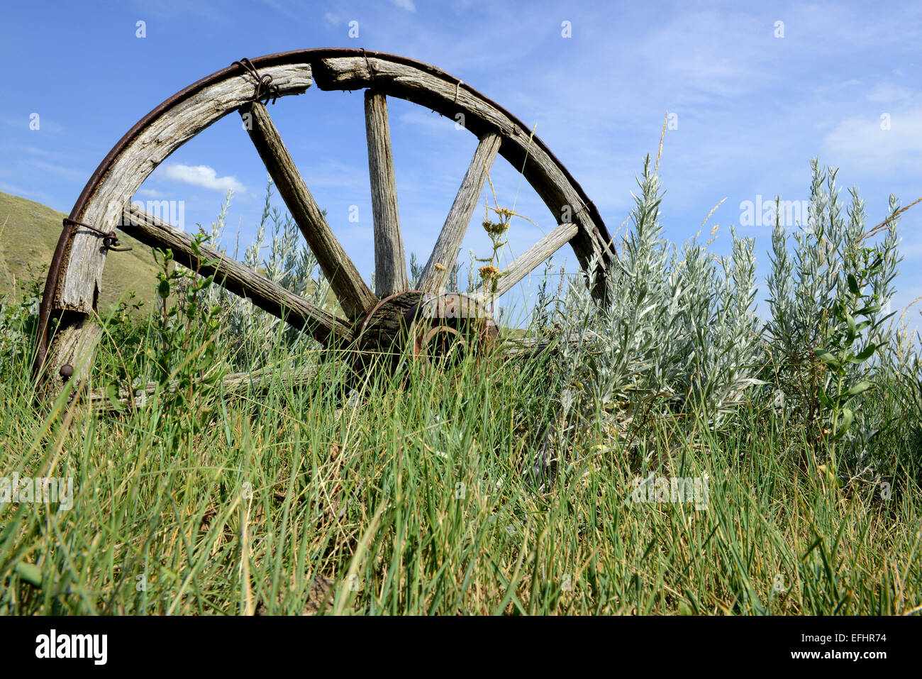 Wagon wheel. Wild West wagon wheel Stock Photo