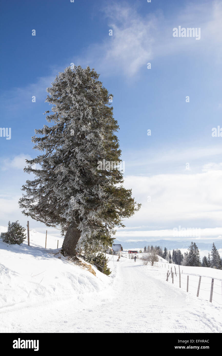 Winter Landscape At Mt. Dobratsch In Carinthia, Austria Stock Photo