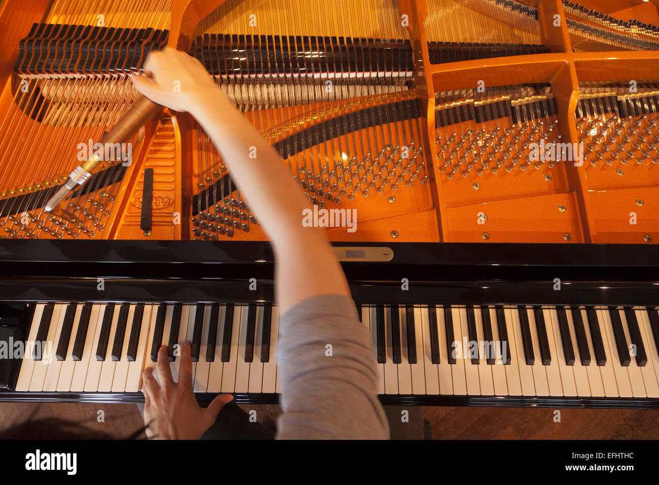 Man tuning a concert piano, Schimmel piano company, Brunswick, Lower Saxony, Germany Stock Photo