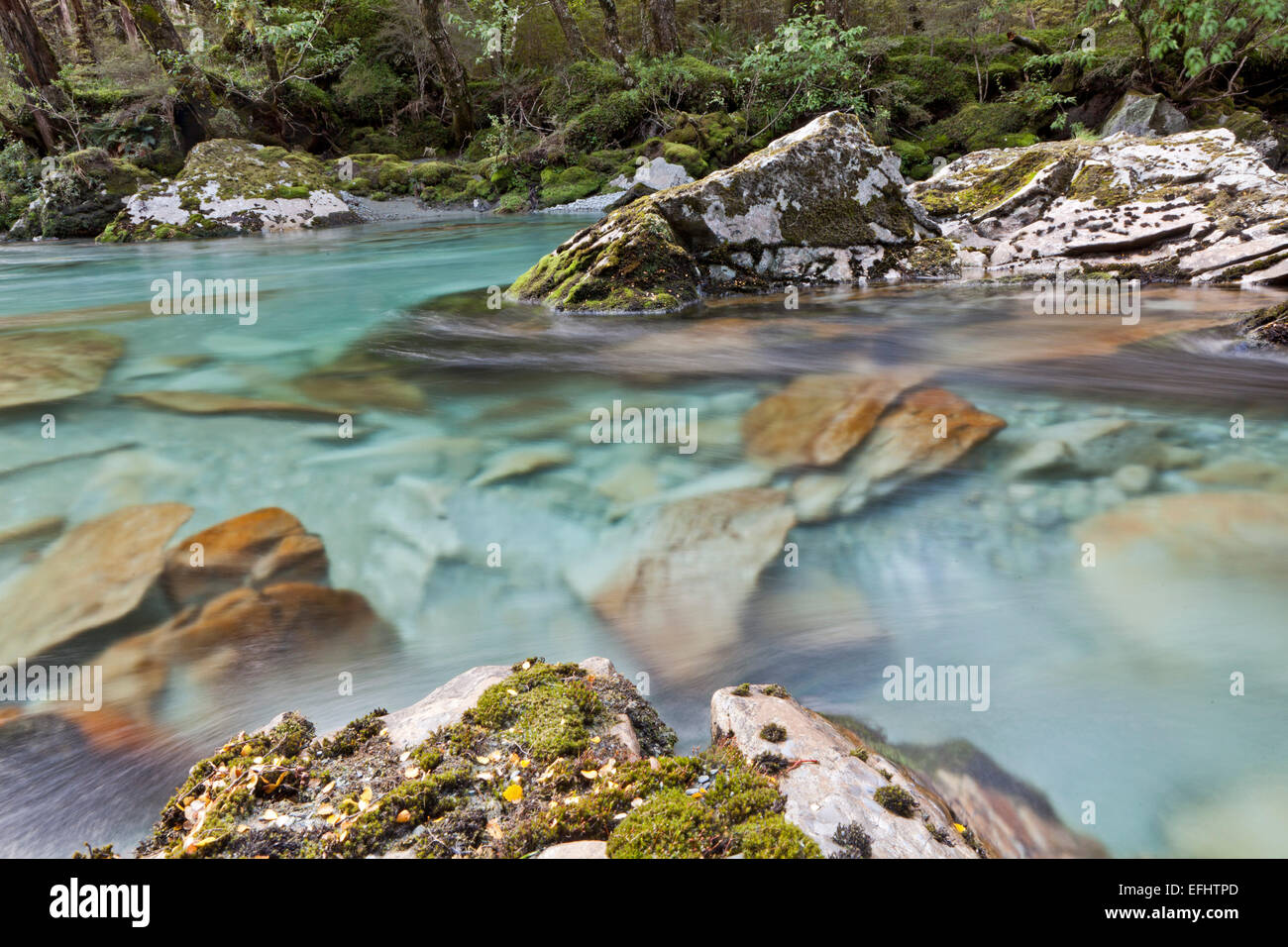 Turquoise, clear mountain water along the Routeburn Track, a Great Walk, South Island, New Zealand Stock Photo