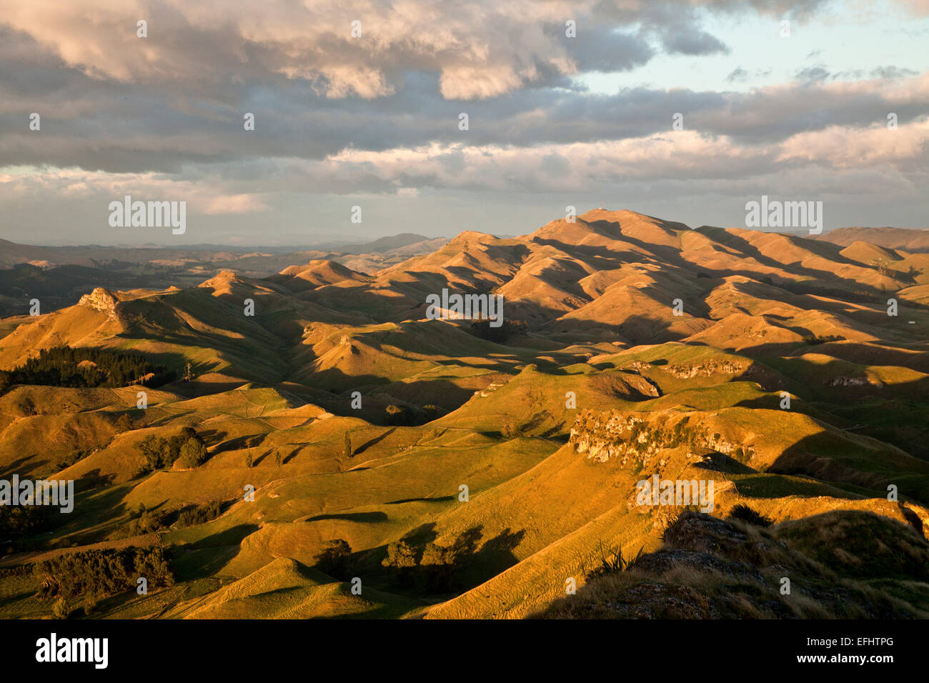 View from the ridge of Te Mata Peak over hill country, Havelock North, Hawkes Bay, North Island, New Zealand Stock Photo