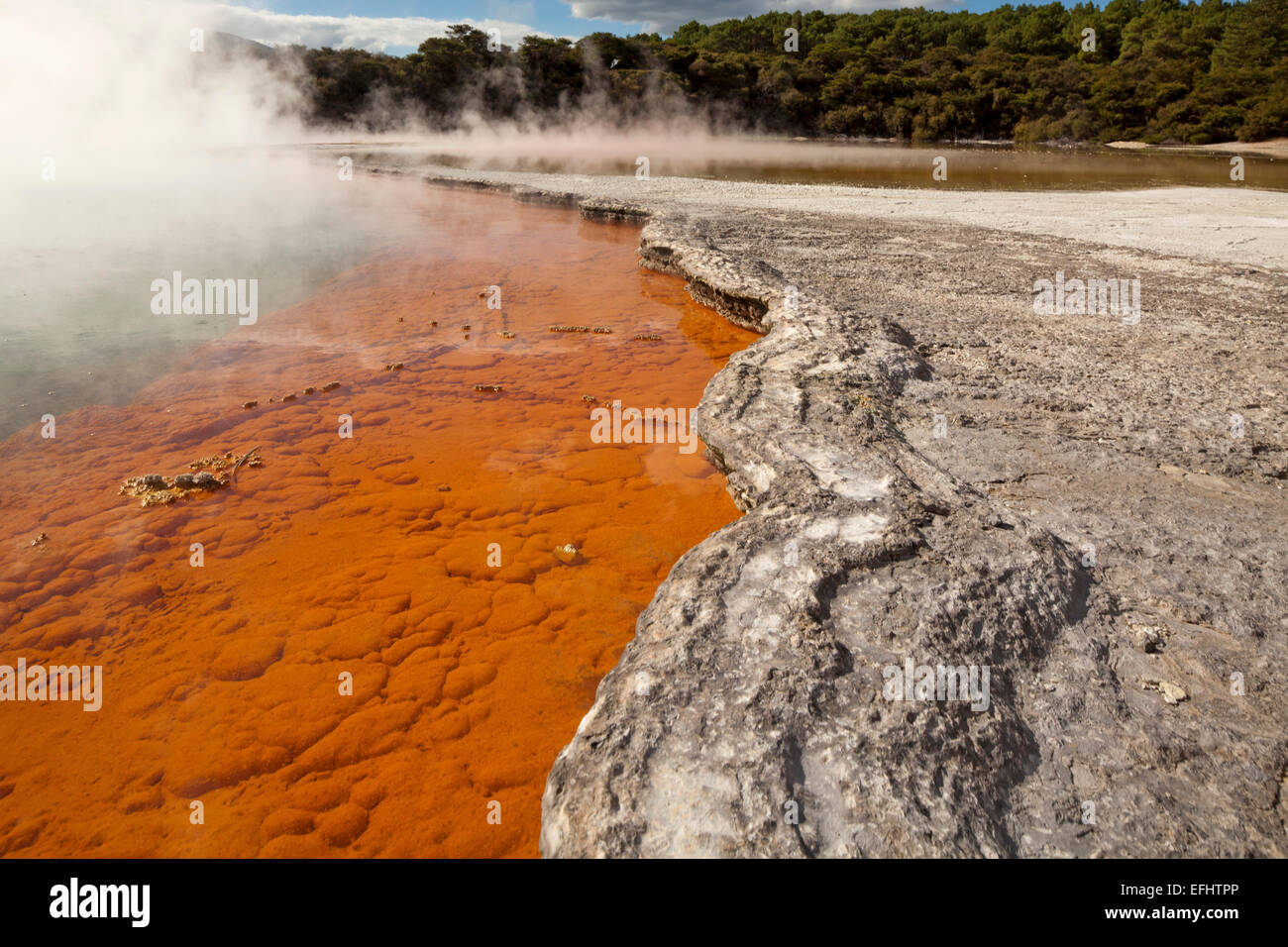 Champagne Pool, geothermal pool with carbon-dioxide bubbles, Waio-tapu crater lake, near Rotorua, North Island, New Zealand Stock Photo