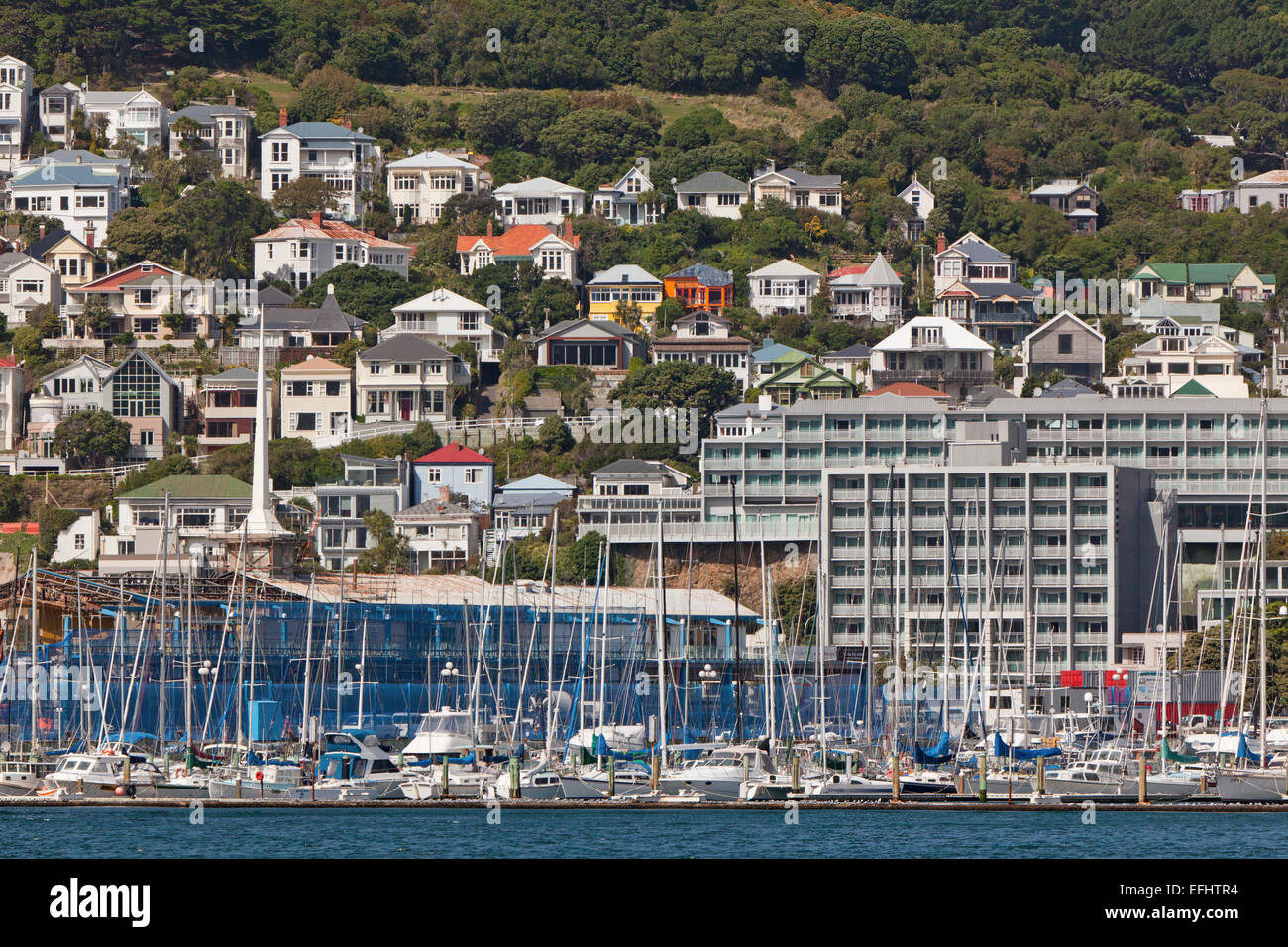 Historical timber houses on the steep slopes of Wellington harbour, capital city, Wellington, North Island, New Zealand Stock Photo