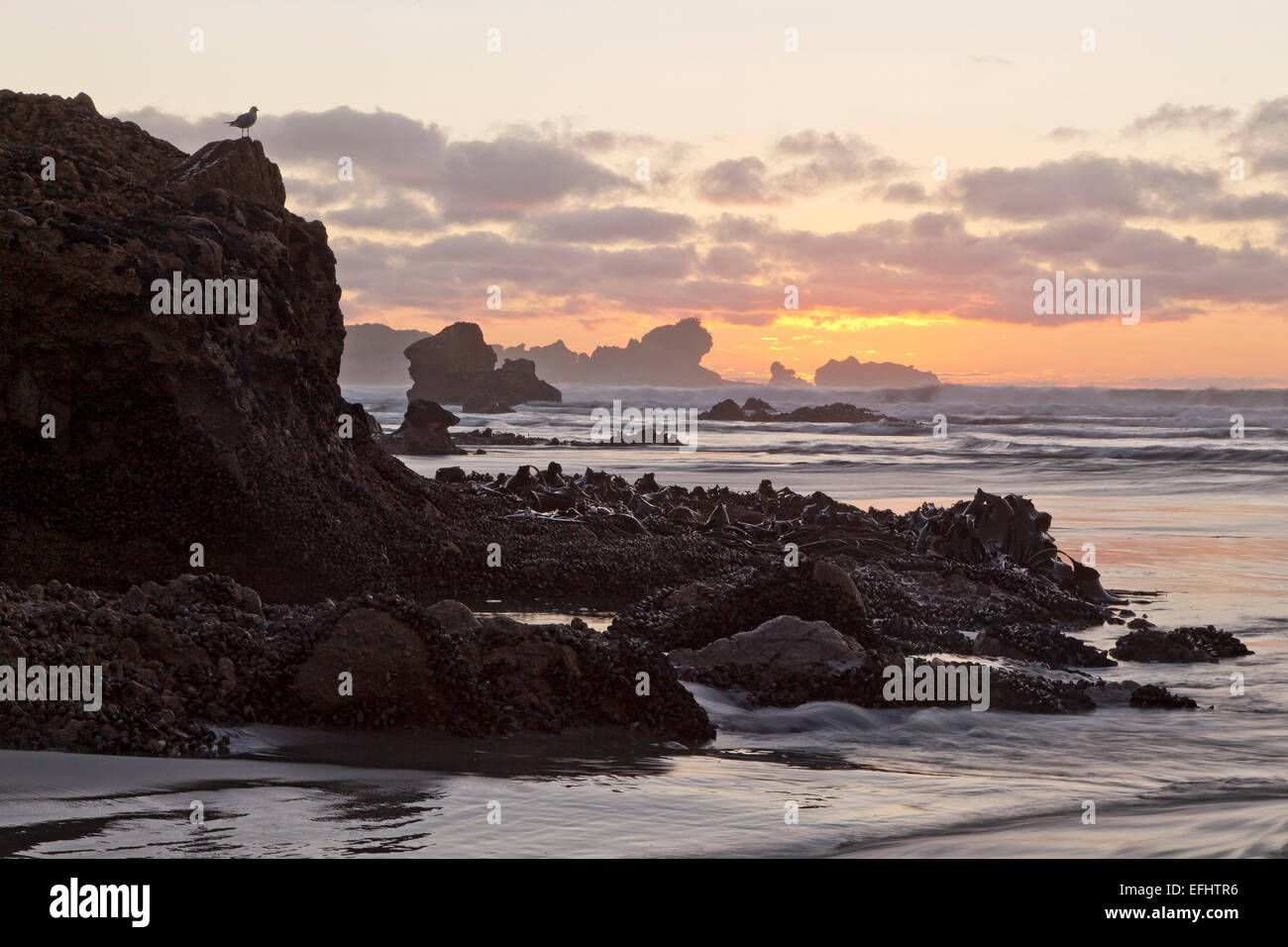 Sunset at the rocky foreshore at Kaipakati Point, Woodpecker Bay, West coast, New Zealand Stock Photo