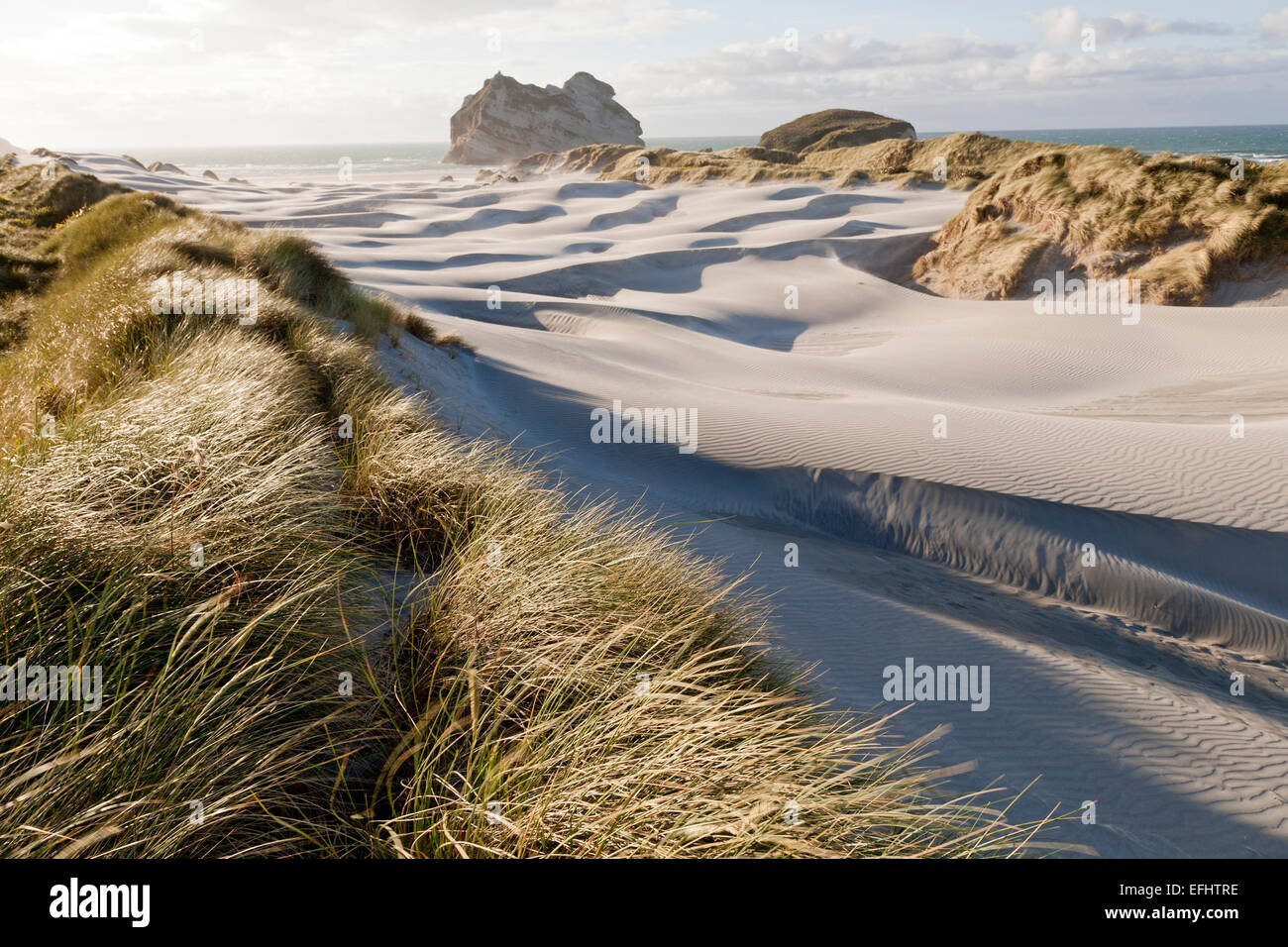 Sanddunes and marram grass at Wharariki Beach, South Island, New Zealand Stock Photo