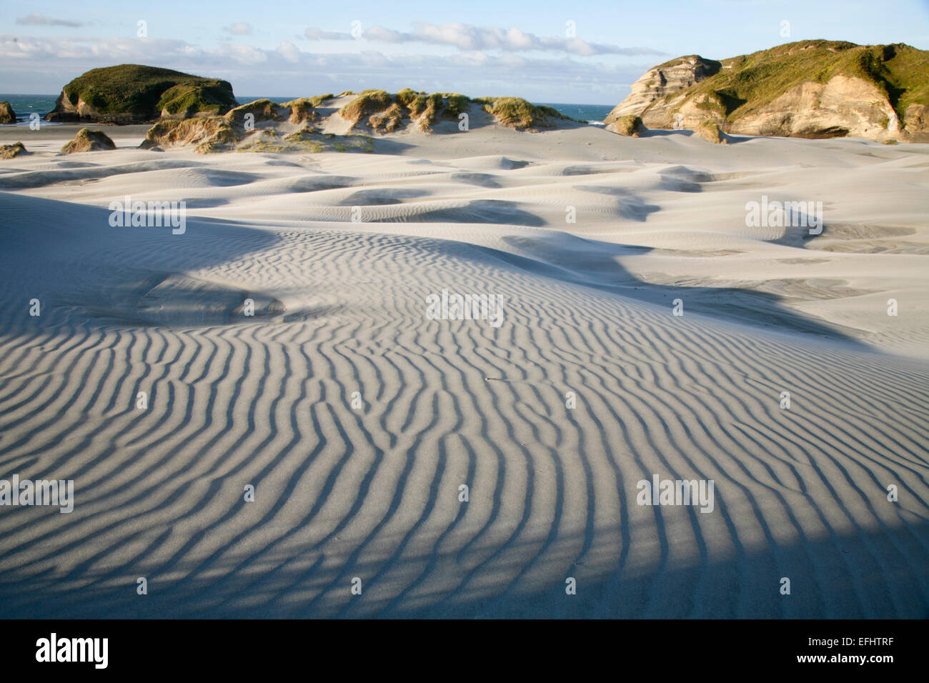 Sanddunes with marram grass on Wharariki Beach, South Island, New Zealand Stock Photo