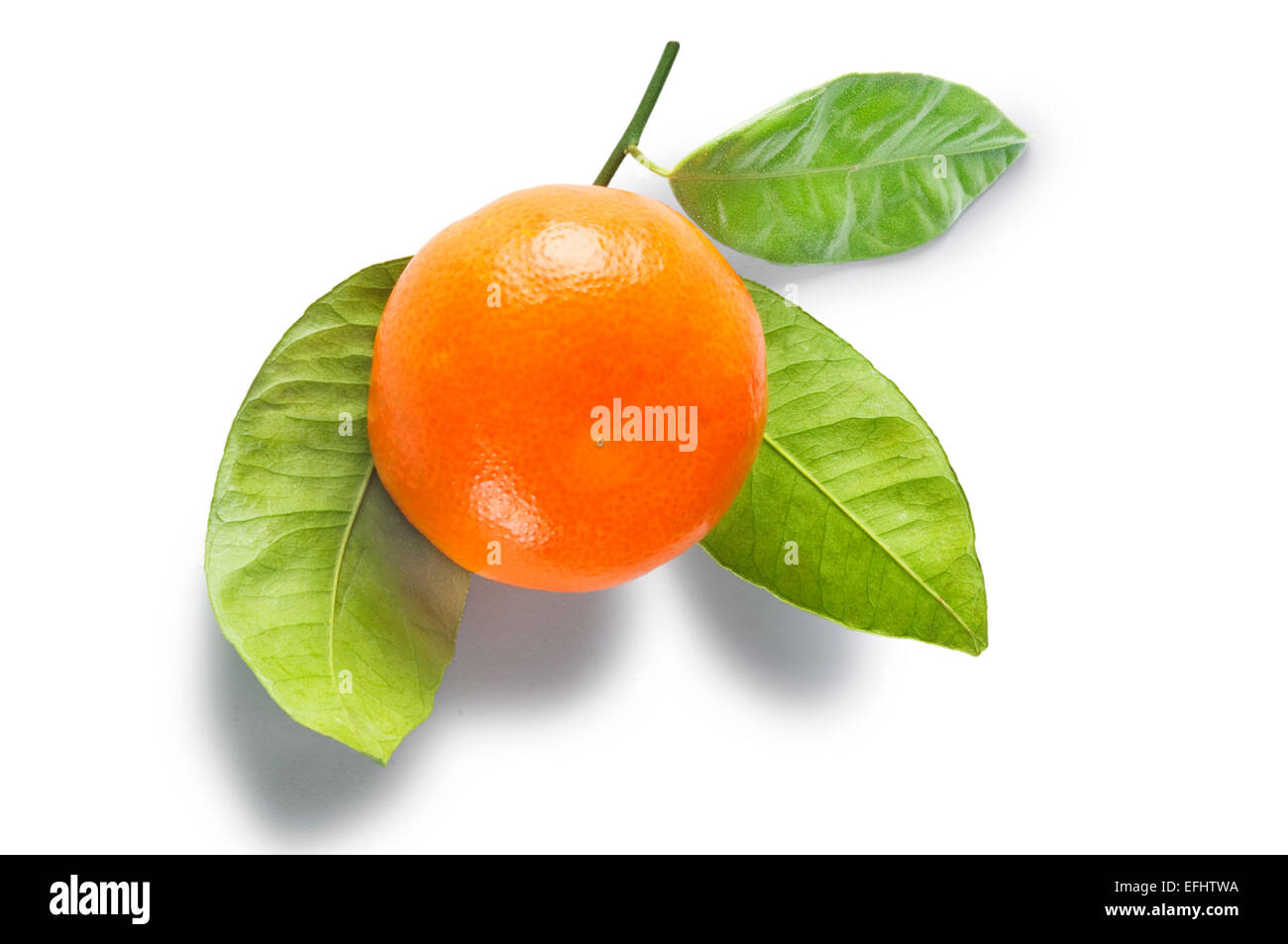 Mandarin orange fruits hi-res stock photography and images - Page 9 - Alamy