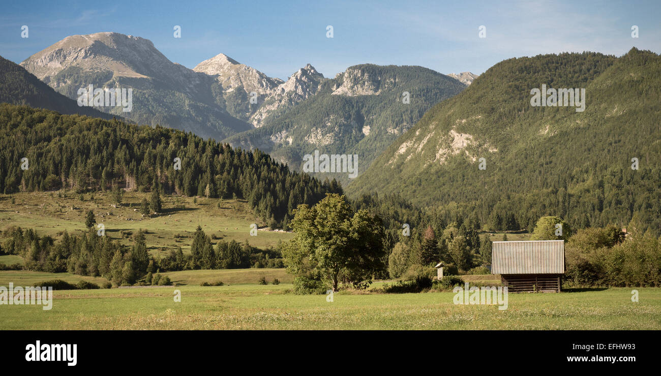 Alpine panorama at Lake Bohinj, Triglav National Park, Julian Alps, Gorenjska, Slovenia Stock Photo