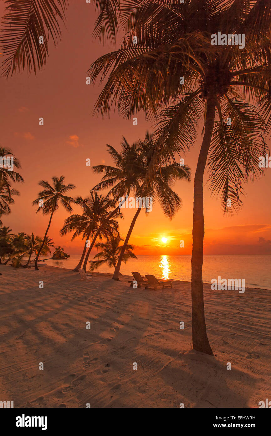 Beach at sunrise at Moorings Village Resort, Islamorada, Florida Keys, Florida, USA Stock Photo