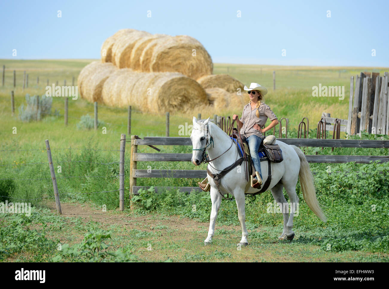 Woman on horseback, La Reata Ranch, Canadian Prairies, Saskatchewan, Canada. Stock Photo