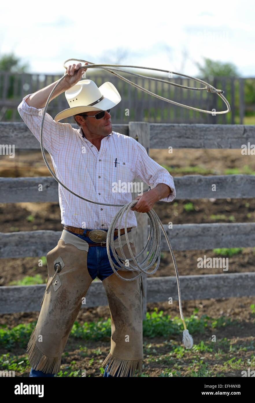 Cowboy with lasso, George Gaber, owner of La Reata Ranch, Saskatchewan, Canada Stock Photo