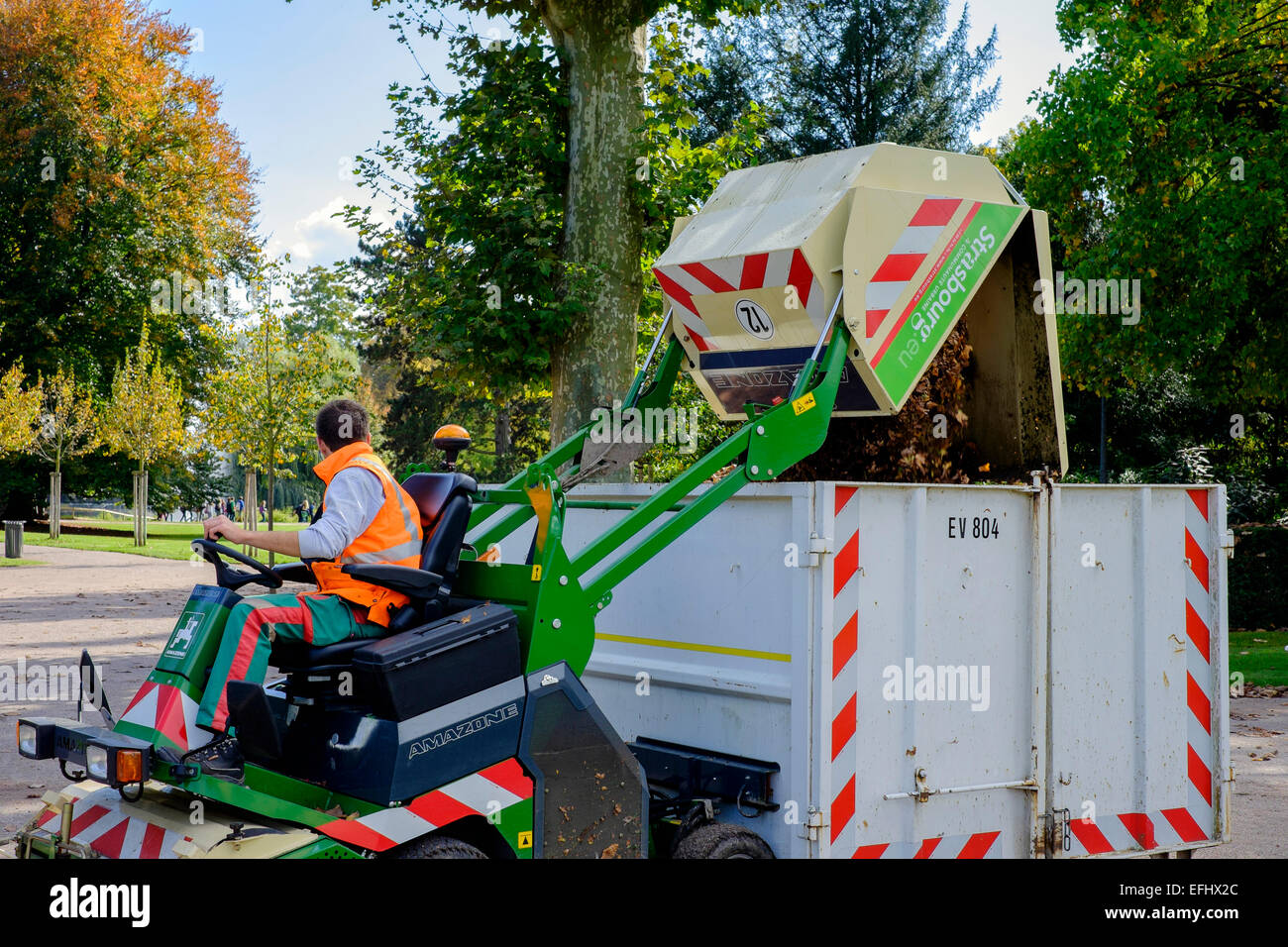 Gardener unloading dead leaves into waste bin, Parc de l'Orangerie park, Strasbourg, Alsace, France, Europe Stock Photo
