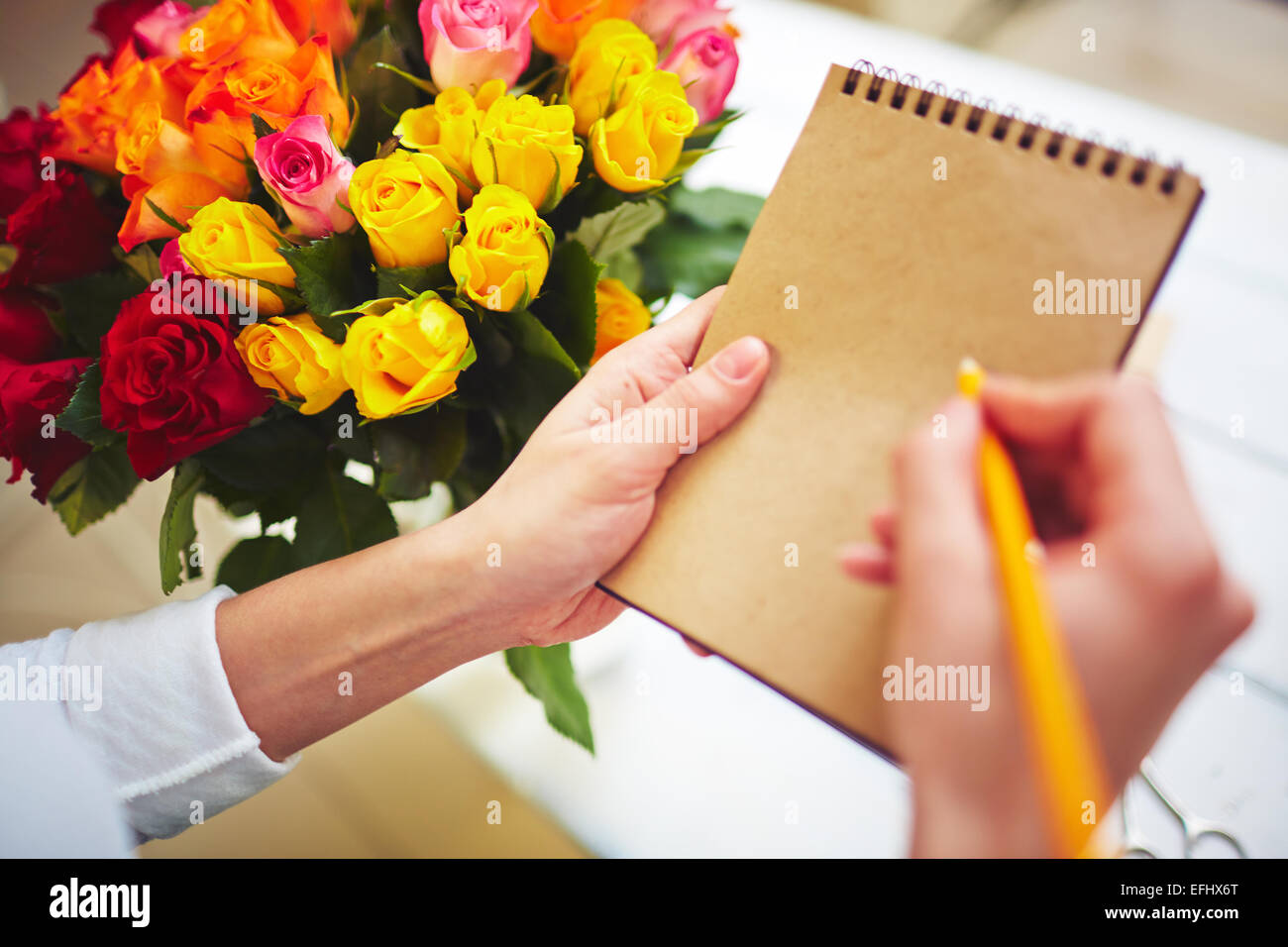 Female hands making notes in hi-res stock photography and images - Alamy