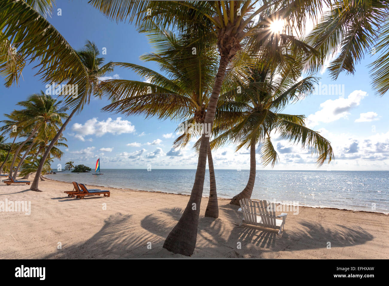 Beach at the Moorings Village Resort, Islamorada, Florida Keys, Florida, USA Stock Photo