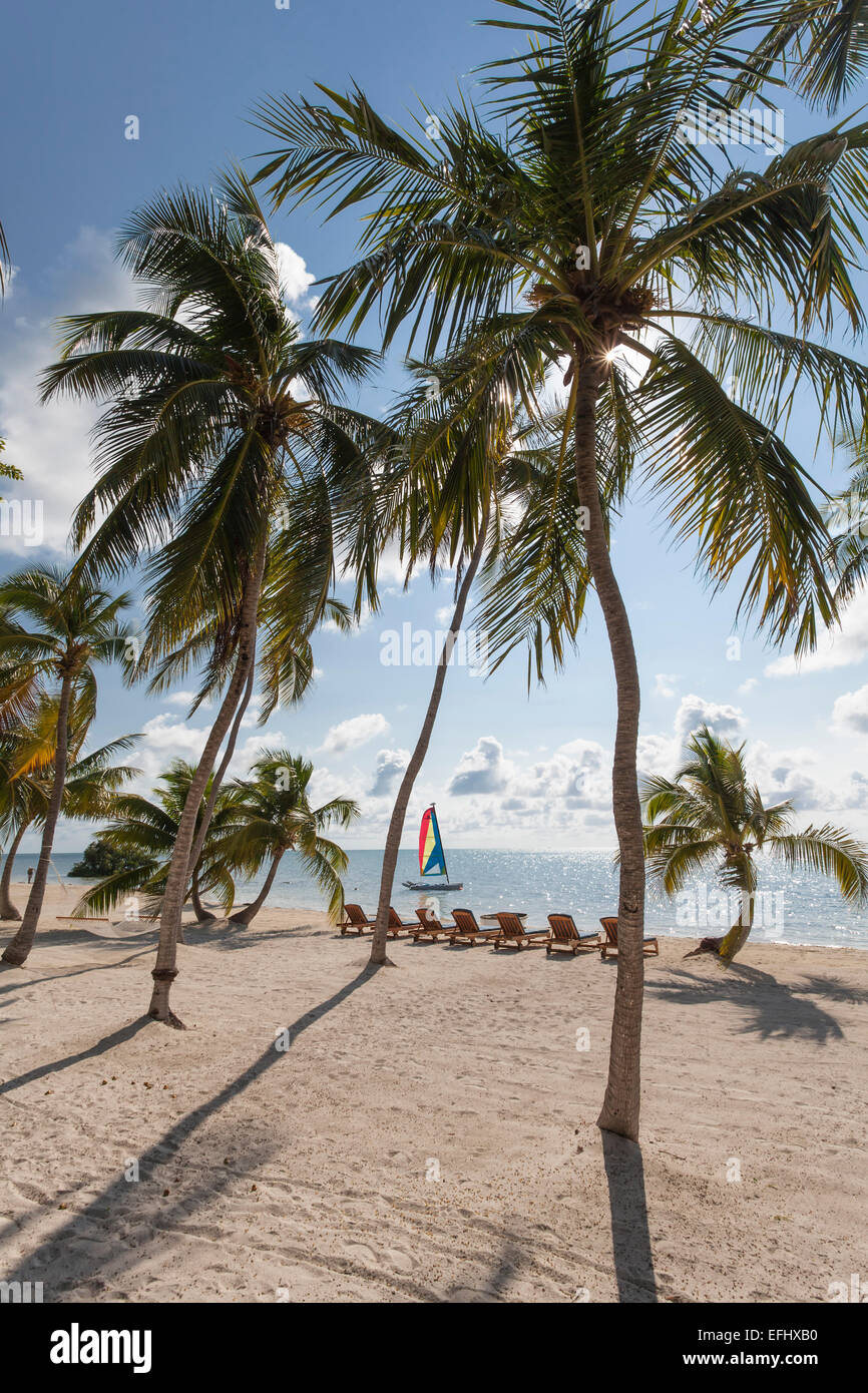 Beach at the Moorings Village Resort, Islamorada, Florida Keys, Florida, USA Stock Photo