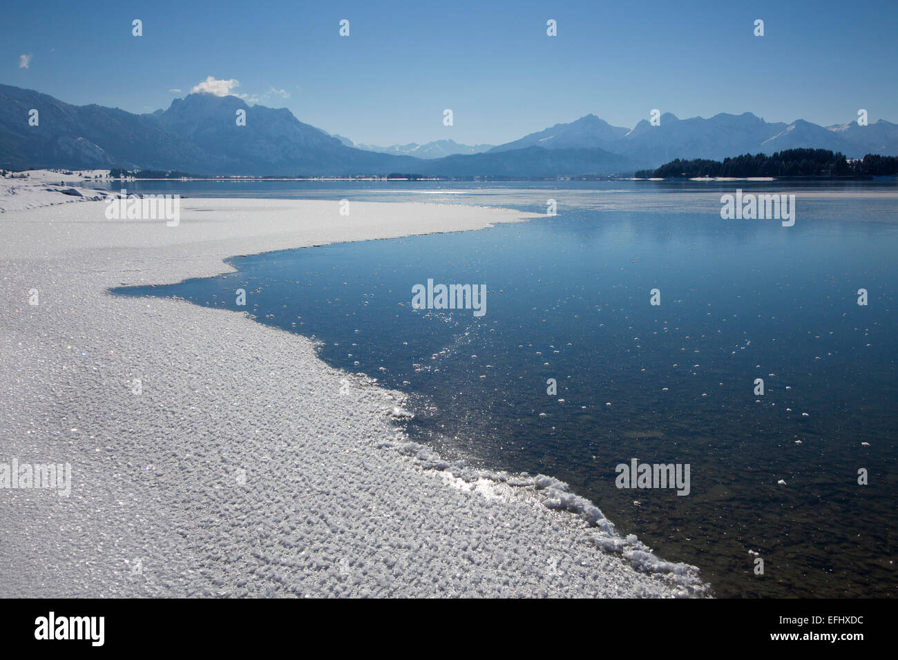Lake Forggensee with view to the Allgaeu Alps with Saeuling and Tannheimer Berge, Allgaeu, Bavaria, Germany Stock Photo