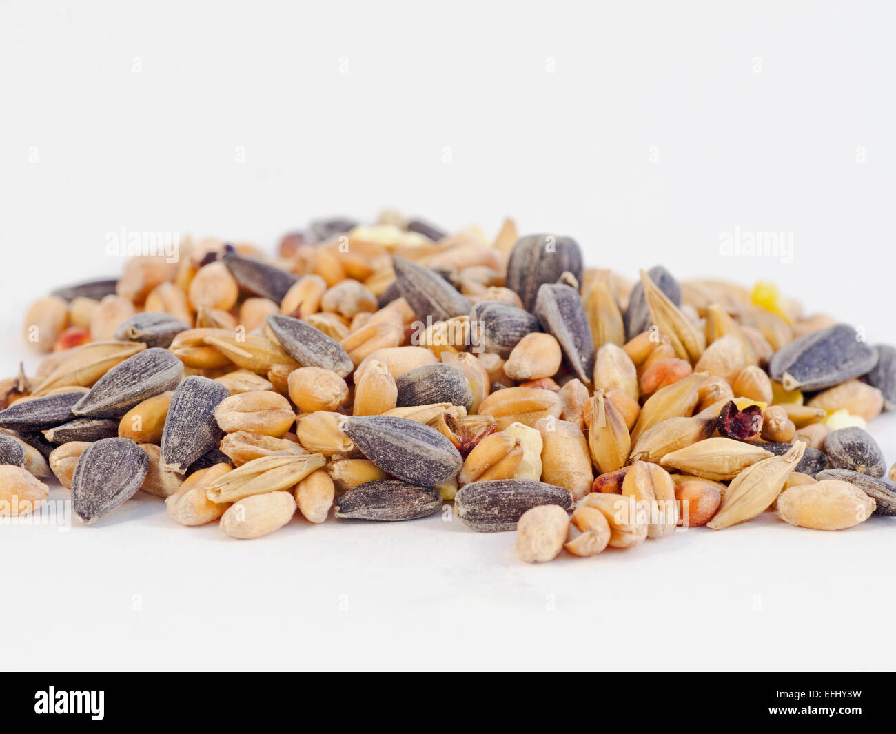 A small heap of a commercial mixed wild bird seed including wheat, oats and sunflower seeds Stock Photo