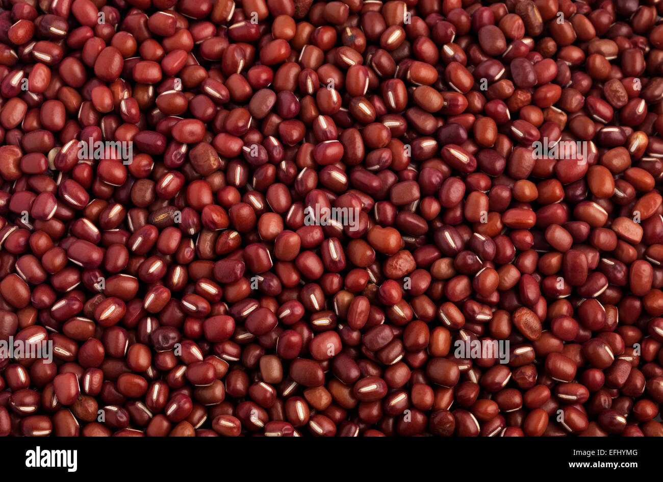 Adzuki Beans full frame Stock Photo
