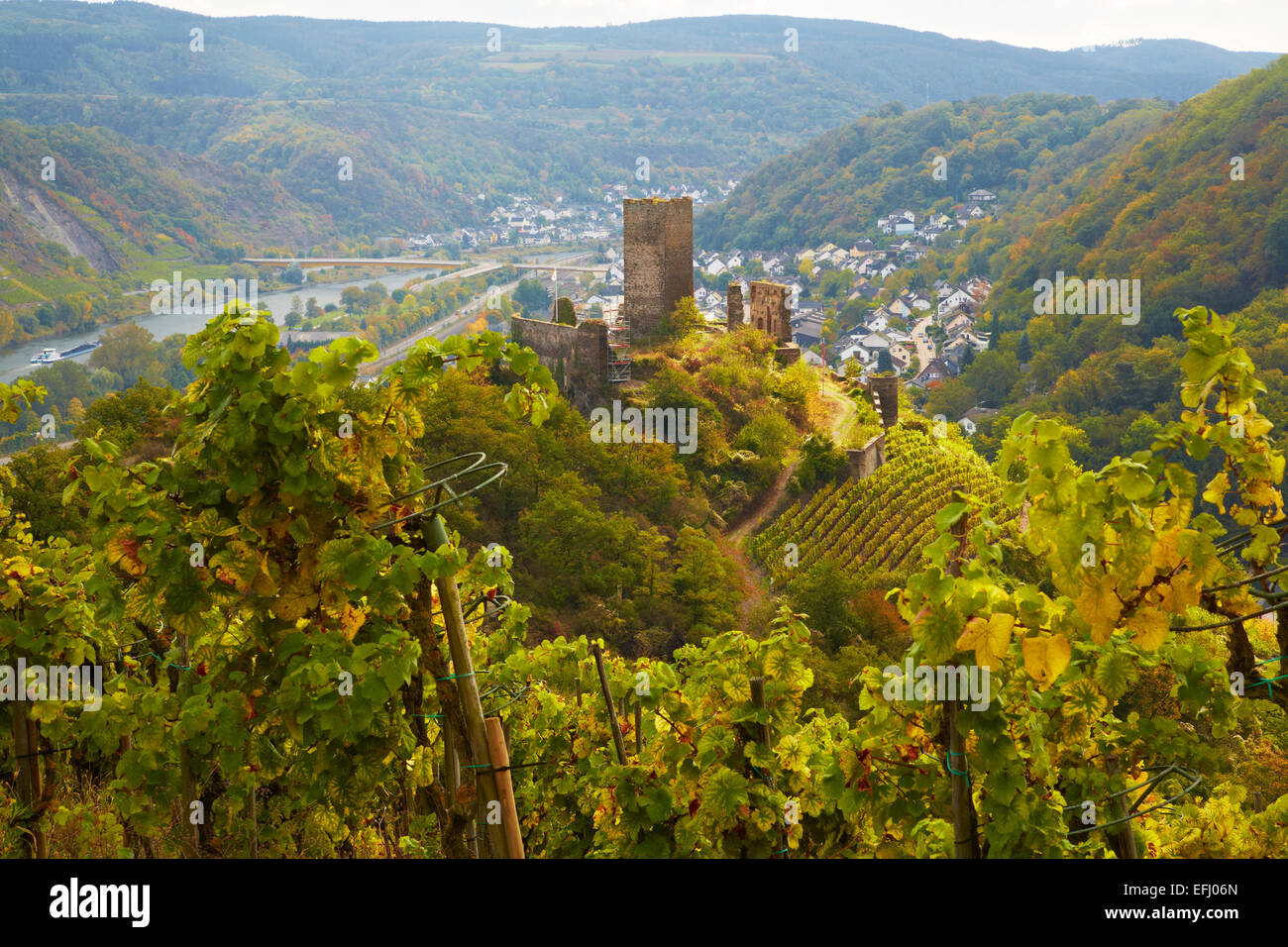 View across the Niederburg and Kobern-Gondorf into the valley of the river Mosel, Rhineland-Palatinate, Germany, Europe Stock Photo