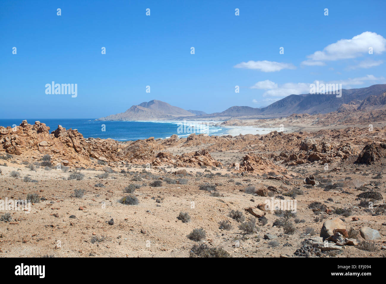 Pan de Azucar National Park. Region de Atacama & Antofagasta. Chile. Stock Photo