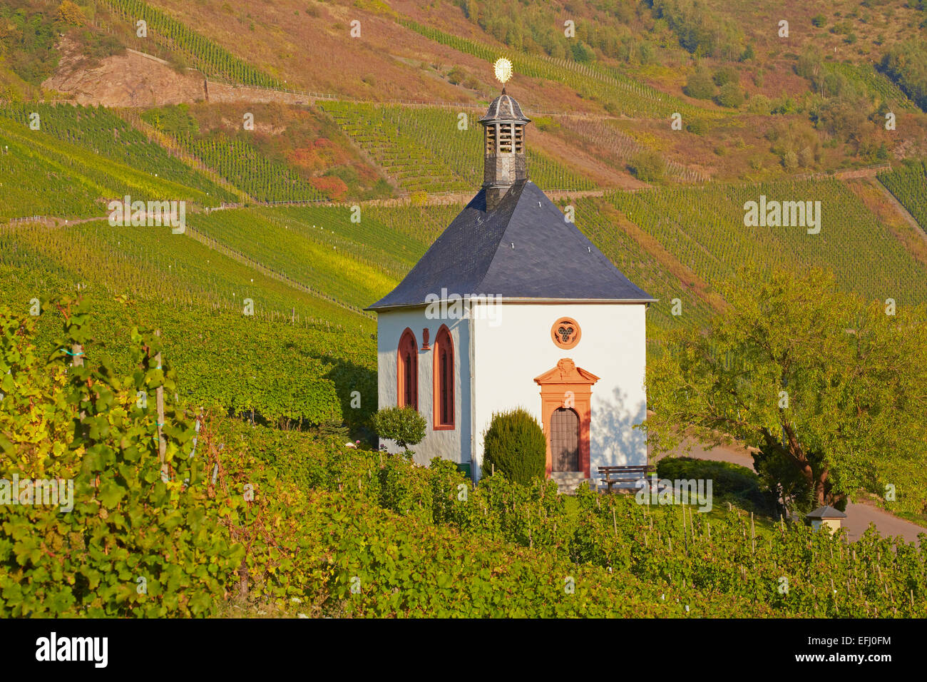 Chapel Grabkapelle Kesselstatt at Kroev, Mosel, Rhineland-Palatinate, Germany, Europe Stock Photo
