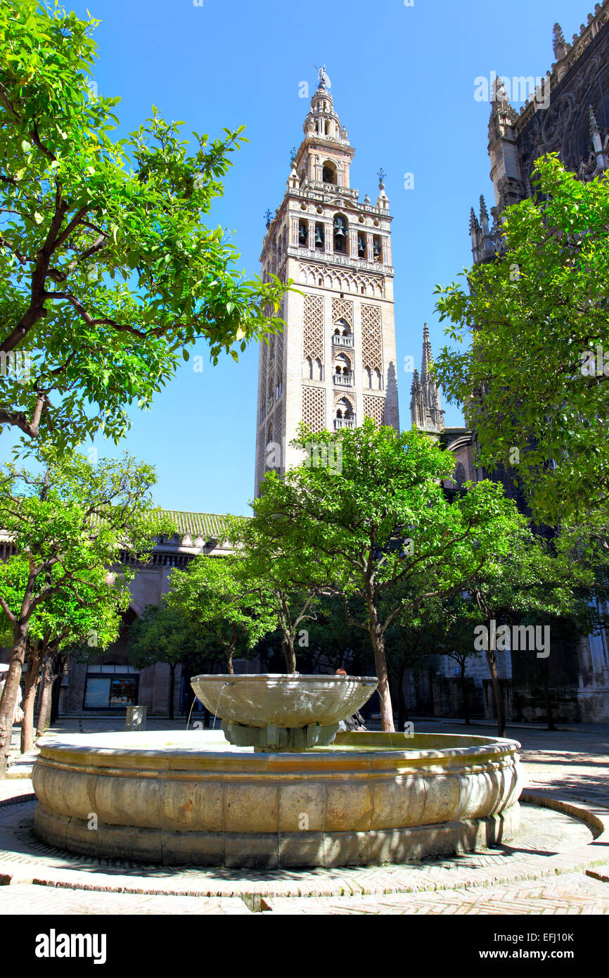 Courtyard of Cathedral and Giralda bell tower, Seville Stock Photo