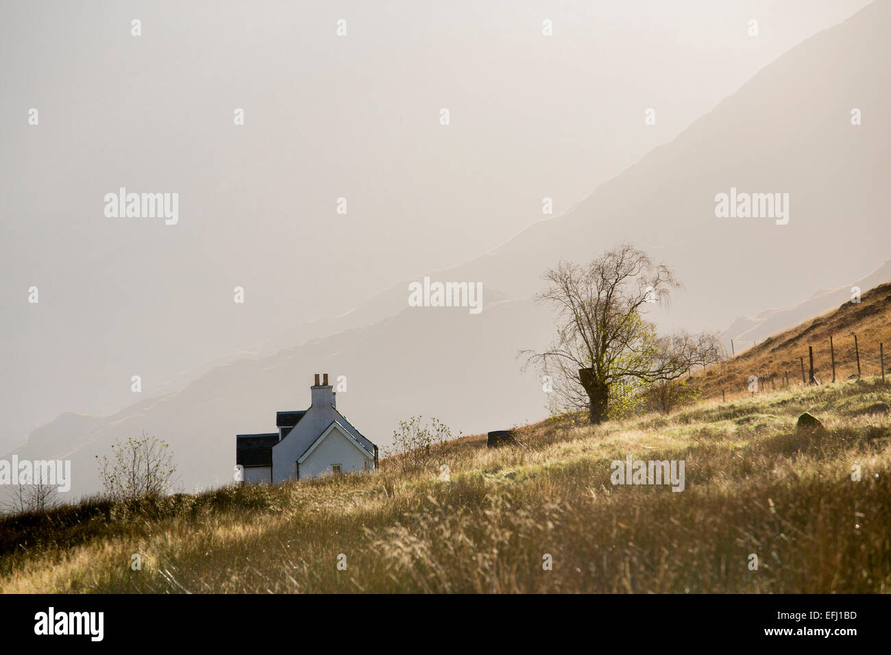Isolated Farmhouse, Glen Sheil, Highlands, Scotland Stock Photo