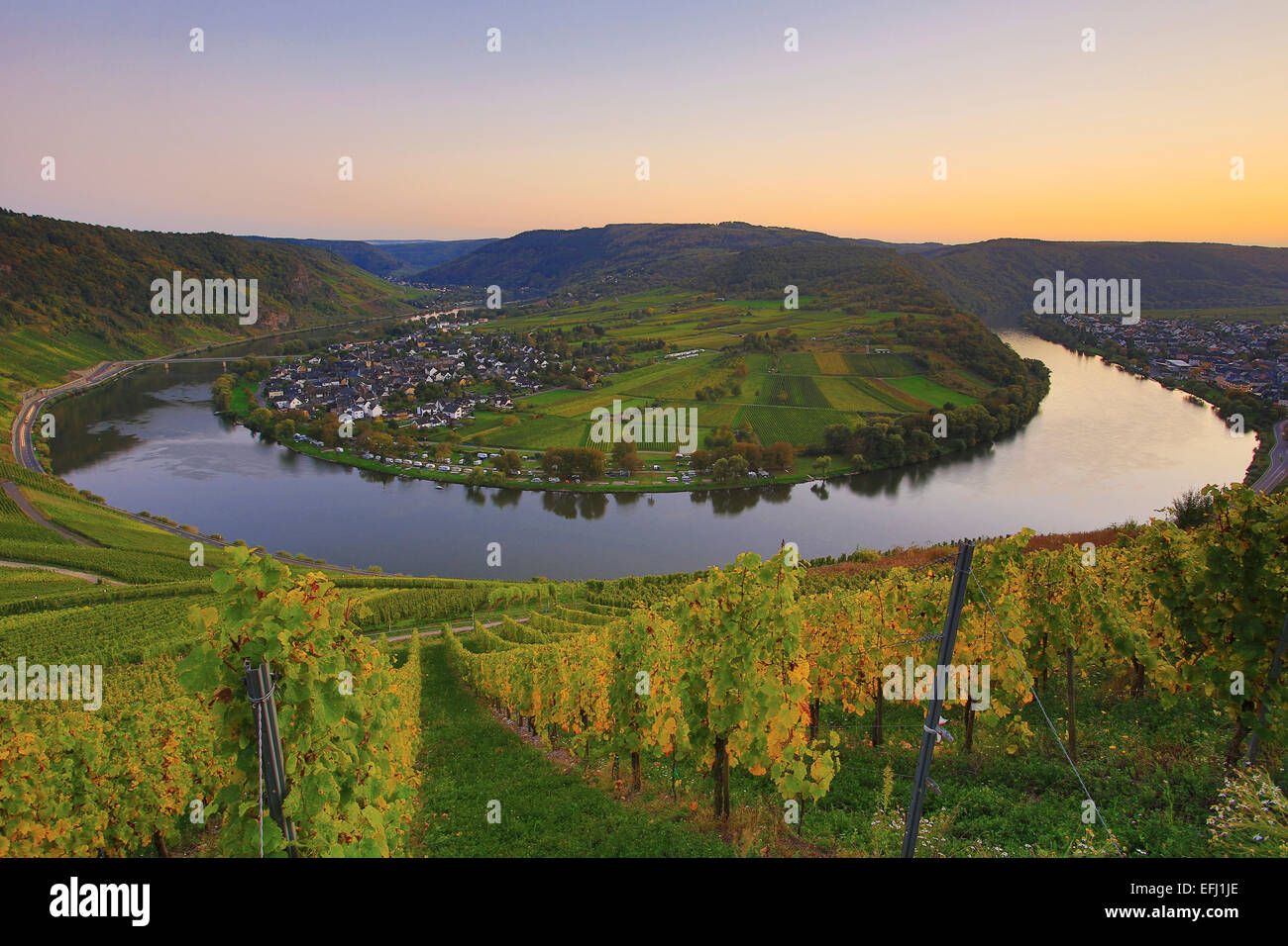 Horseshoe bend of the river Mosel at Kroev in the evening light, Rhineland-Palatinate, Germany, Europe Stock Photo