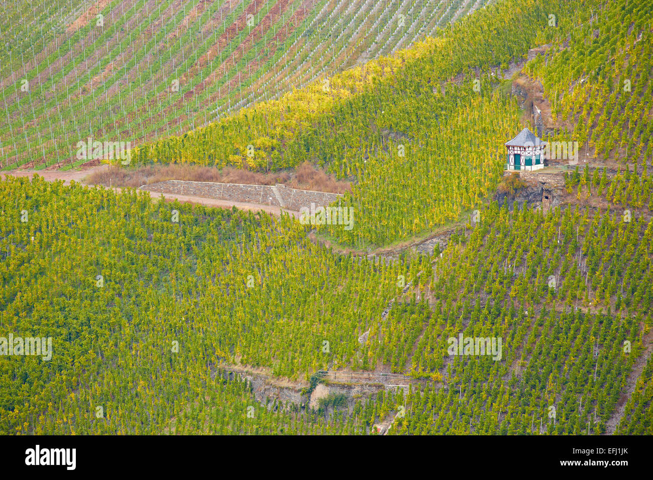 View from Landshut castle to vineyards above Bernkastel-Kues, Mosel, Rhineland-Palatinate, Germany, Europe Stock Photo