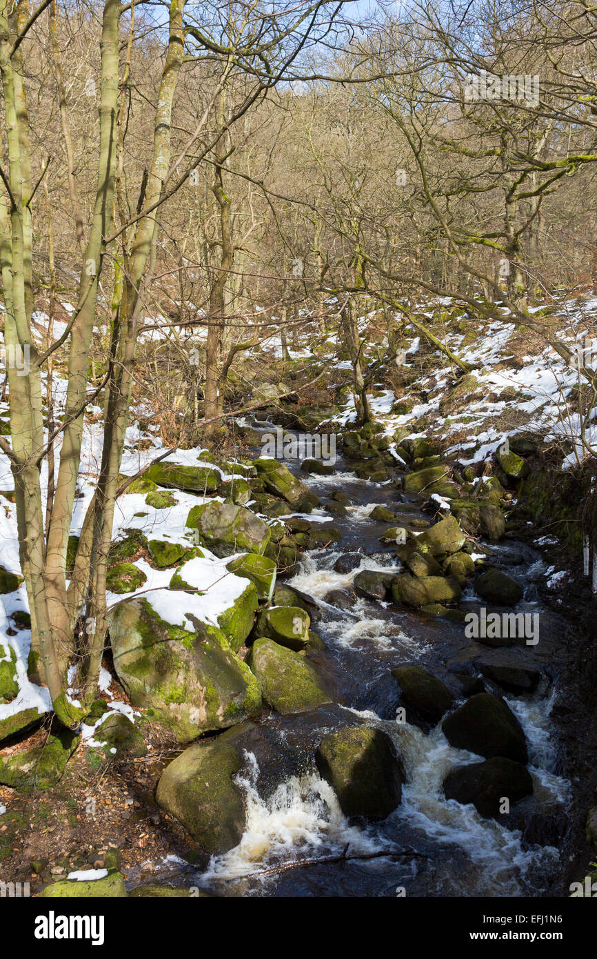 Burbage Brook running through Yarn Cliff Wood at Padley Gorge on the Longshaw Estate in Derbyshire. Stock Photo