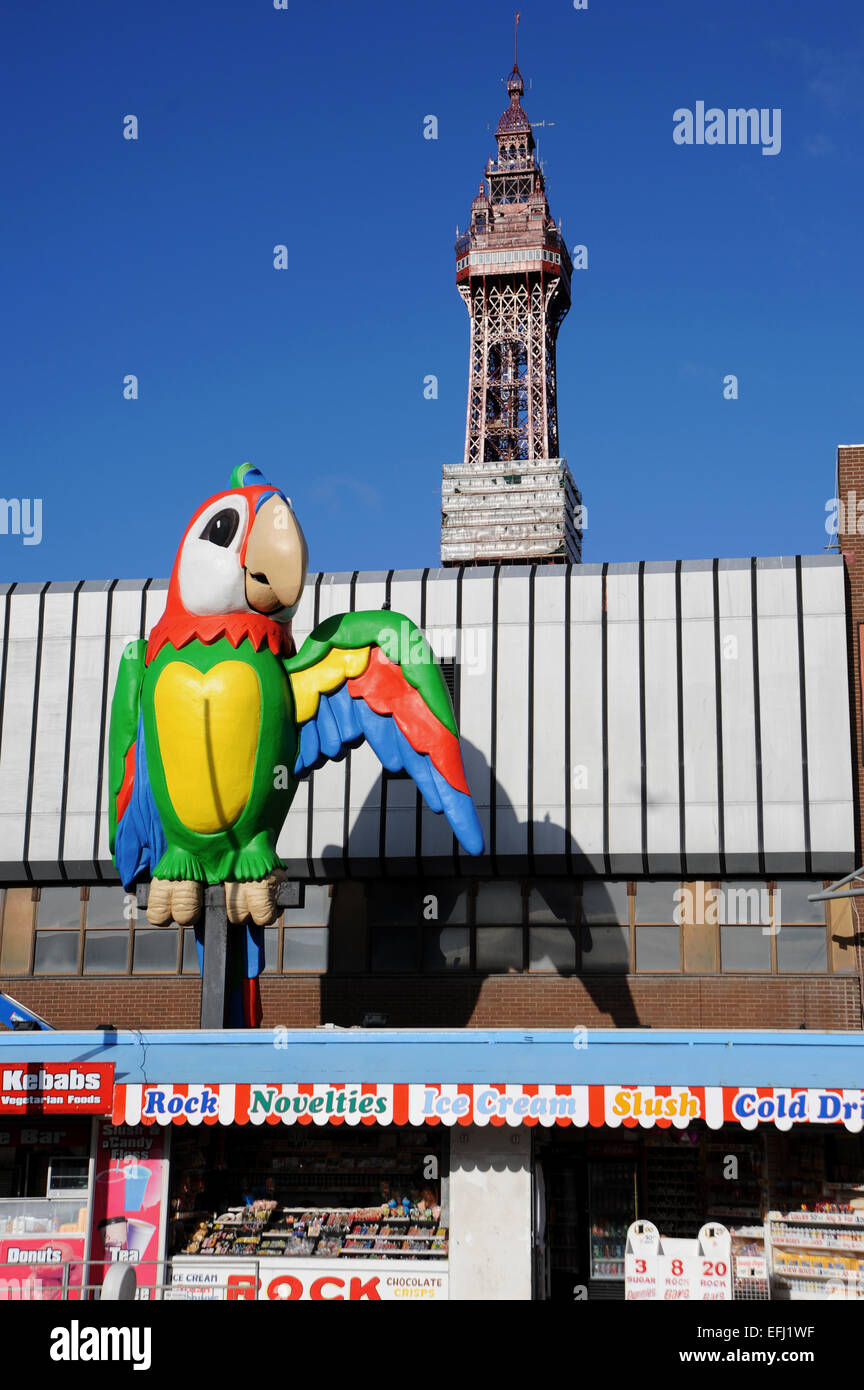 Blackpool Lancashire UK Blackpool Tower with giant colourful parrot