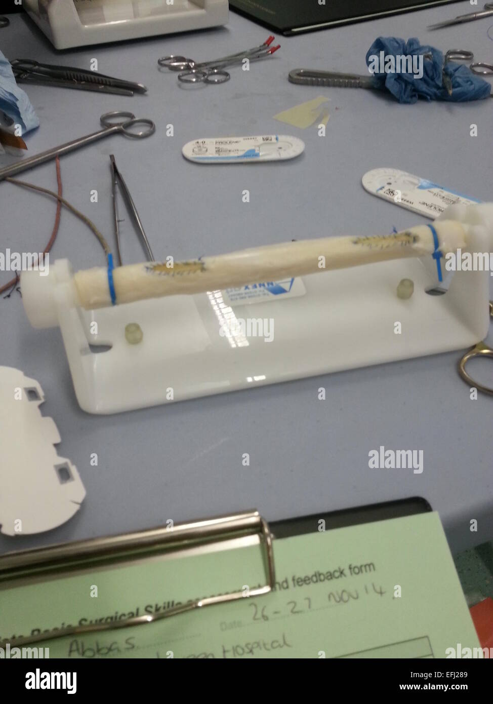 Vein patch in simulation, surgical skills Stock Photo Alamy