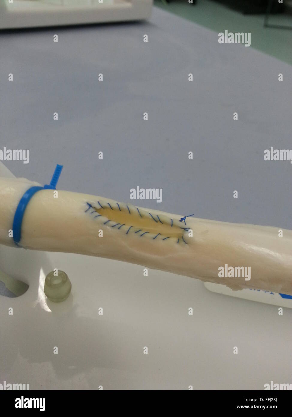 Vein patch in simulation hires stock photography and images Alamy