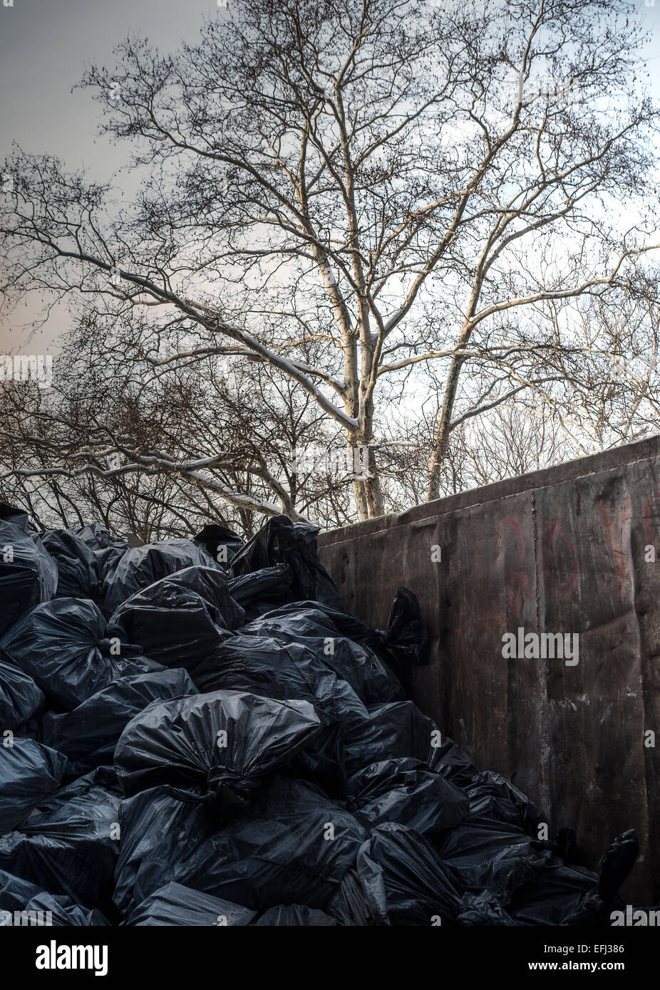 Big Metal Garbage Container for Waste Stock Photo - Image of environmental,  discard: 221051338