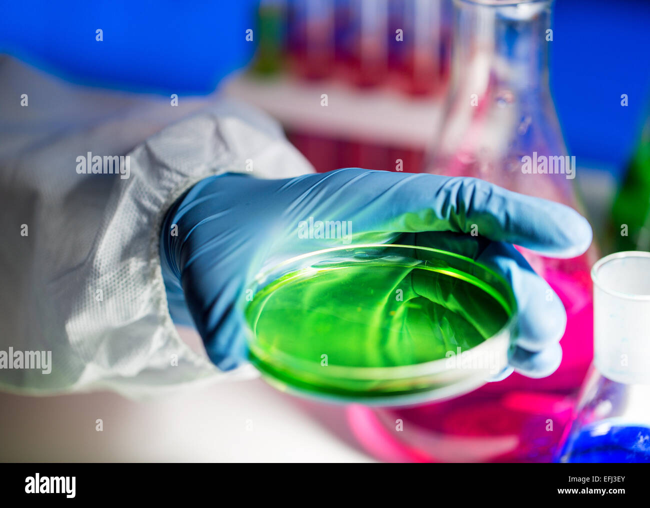 close up of scientist making test in laboratory Stock Photo - Alamy