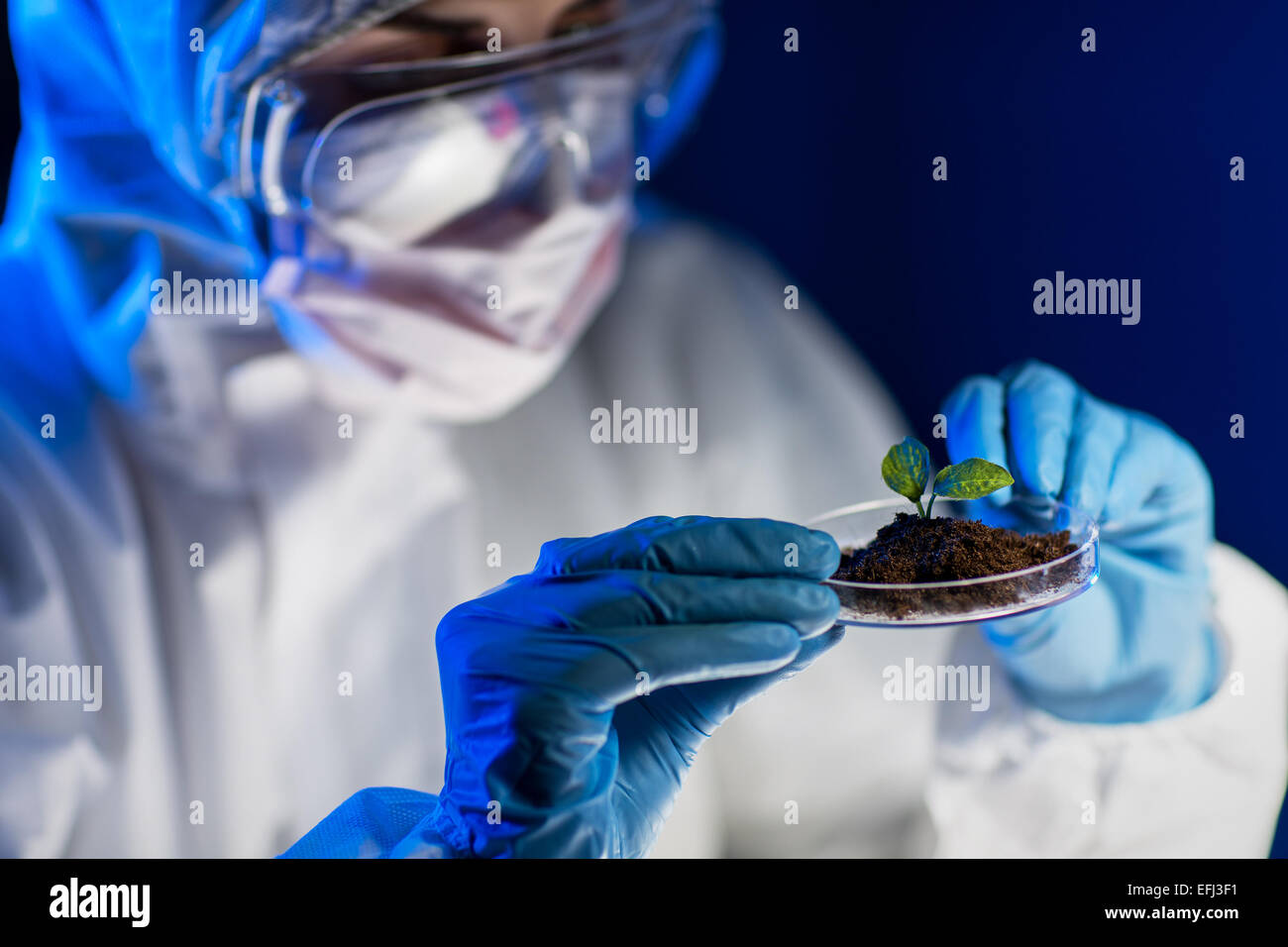 close up of scientist with plant and soil in lab Stock Photo - Alamy