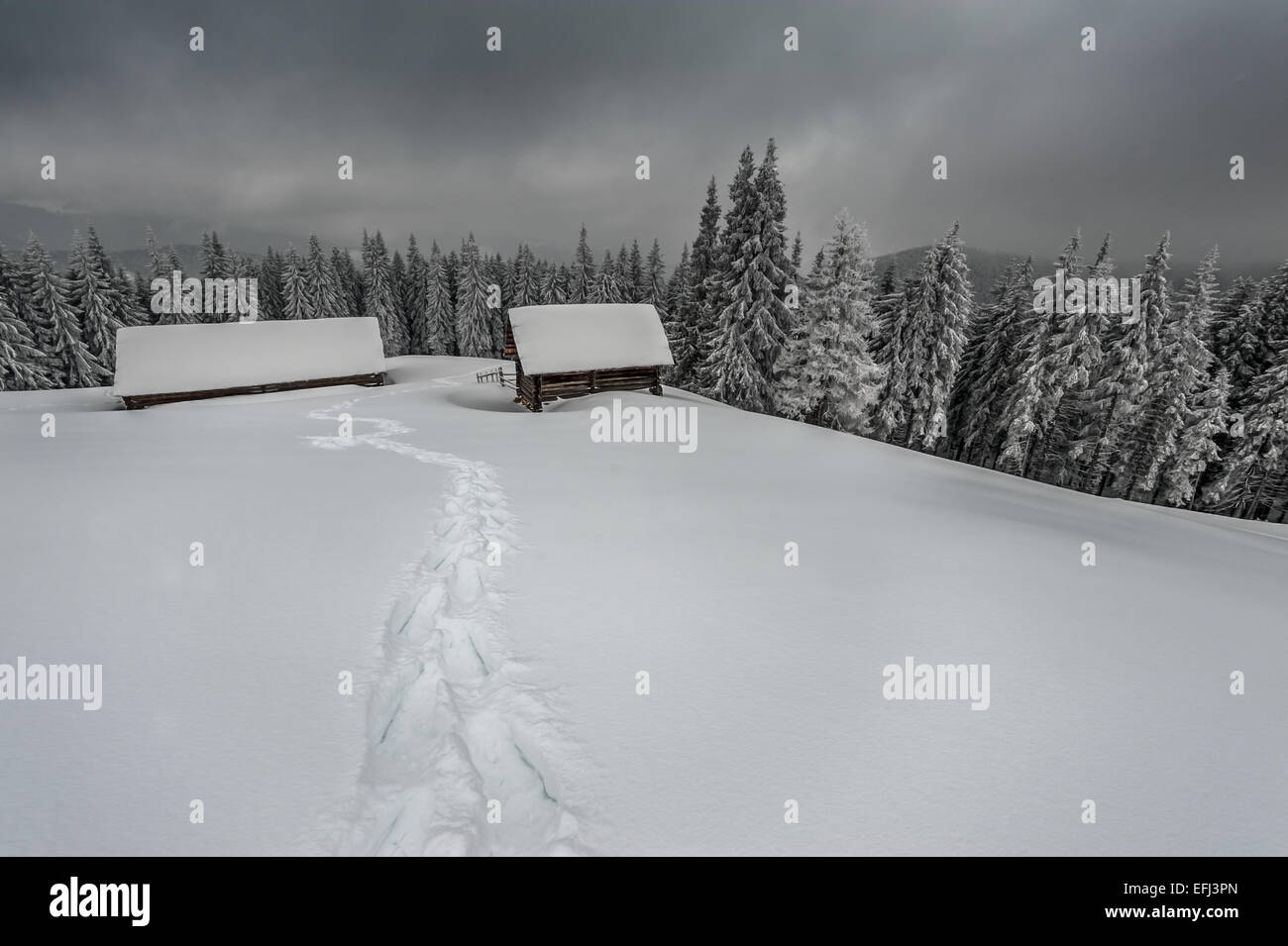 wooden house in winter forest Stock Photo - Alamy
