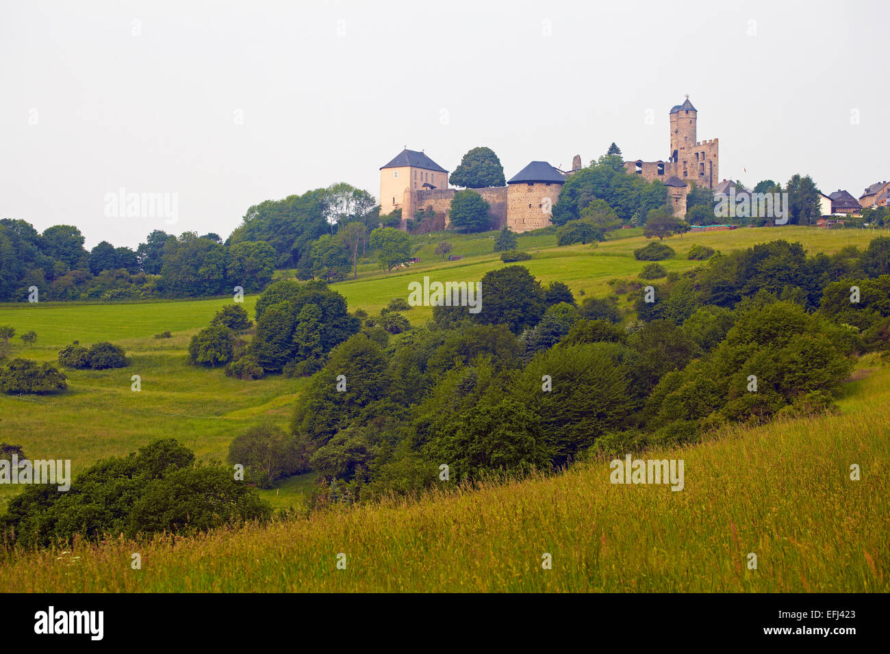 View of Greifenstein castle, Westerwald, Hesse, Germany, Europe Stock Photo