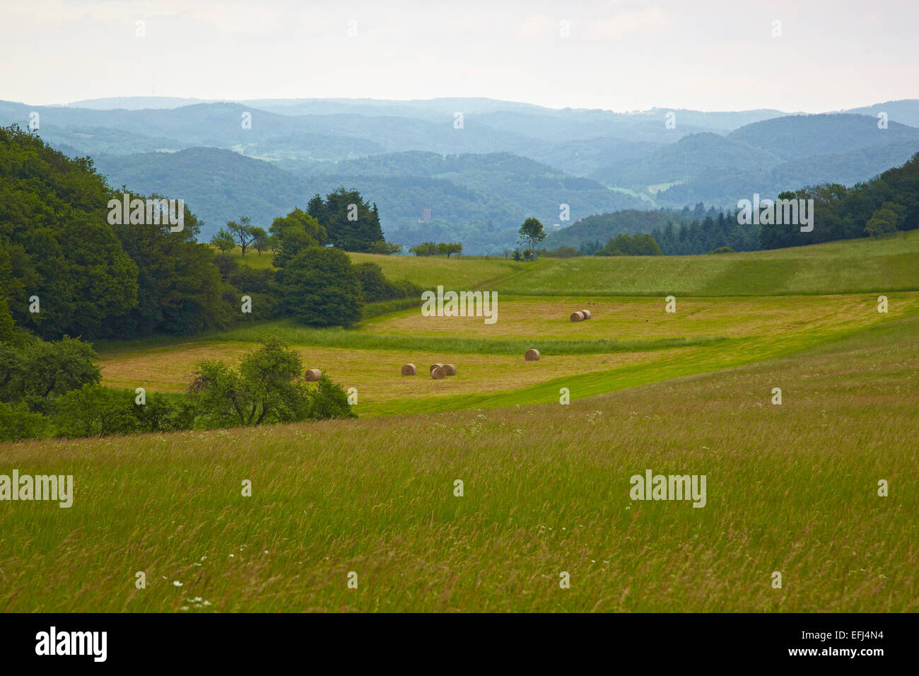 Landscape at the Korn-Berg near Donsbach, Rothaarsteig, Westerwald, Hesse, Germany, Europe Stock Photo
