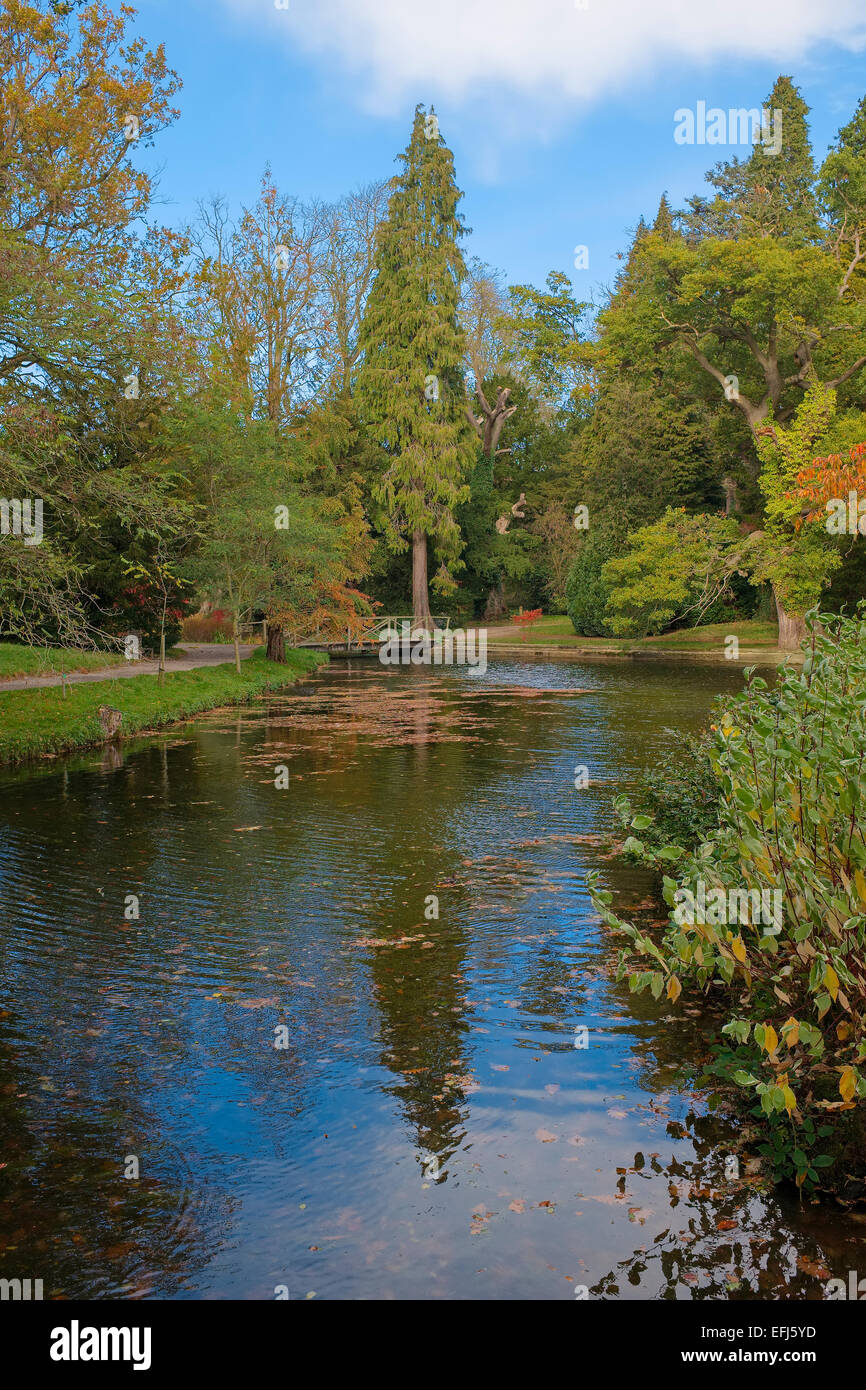 Blue pond with reflected sky colour hi-res stock photography and images ...