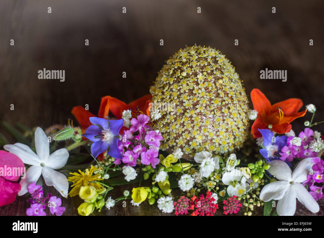 blooming flowers bouquet spring summer wood 'copy space' colors Stock Photo