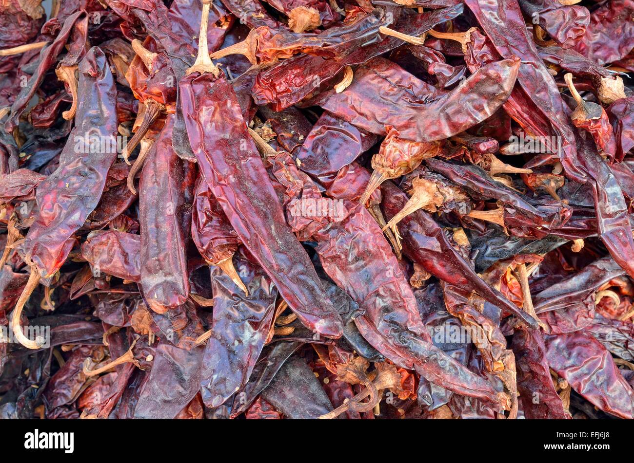 Dried chili peppers (Capsicum sp.), Mexico Stock Photo